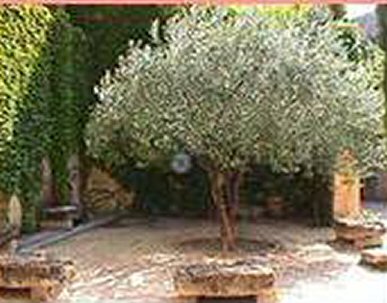 Garden Style